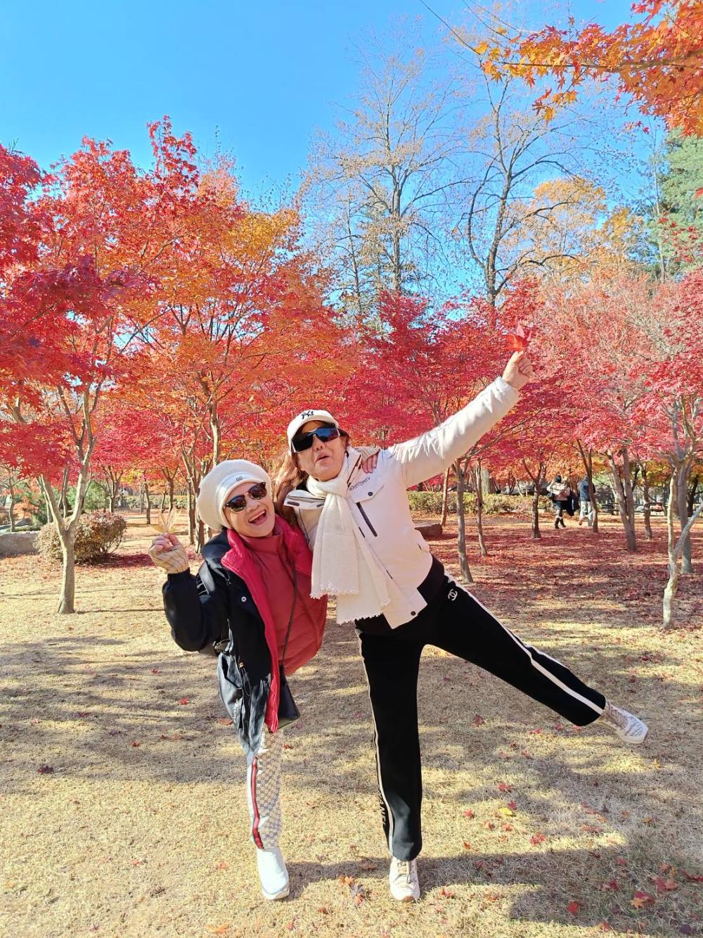 ทัวร์เกาหลี เกาะนามิ สวนสนุกเอเวอร์แลนด์ ใบไม้เปลี่ยนสี 5 วัน 3 คืน ( 11 - 15 Nov 2025)