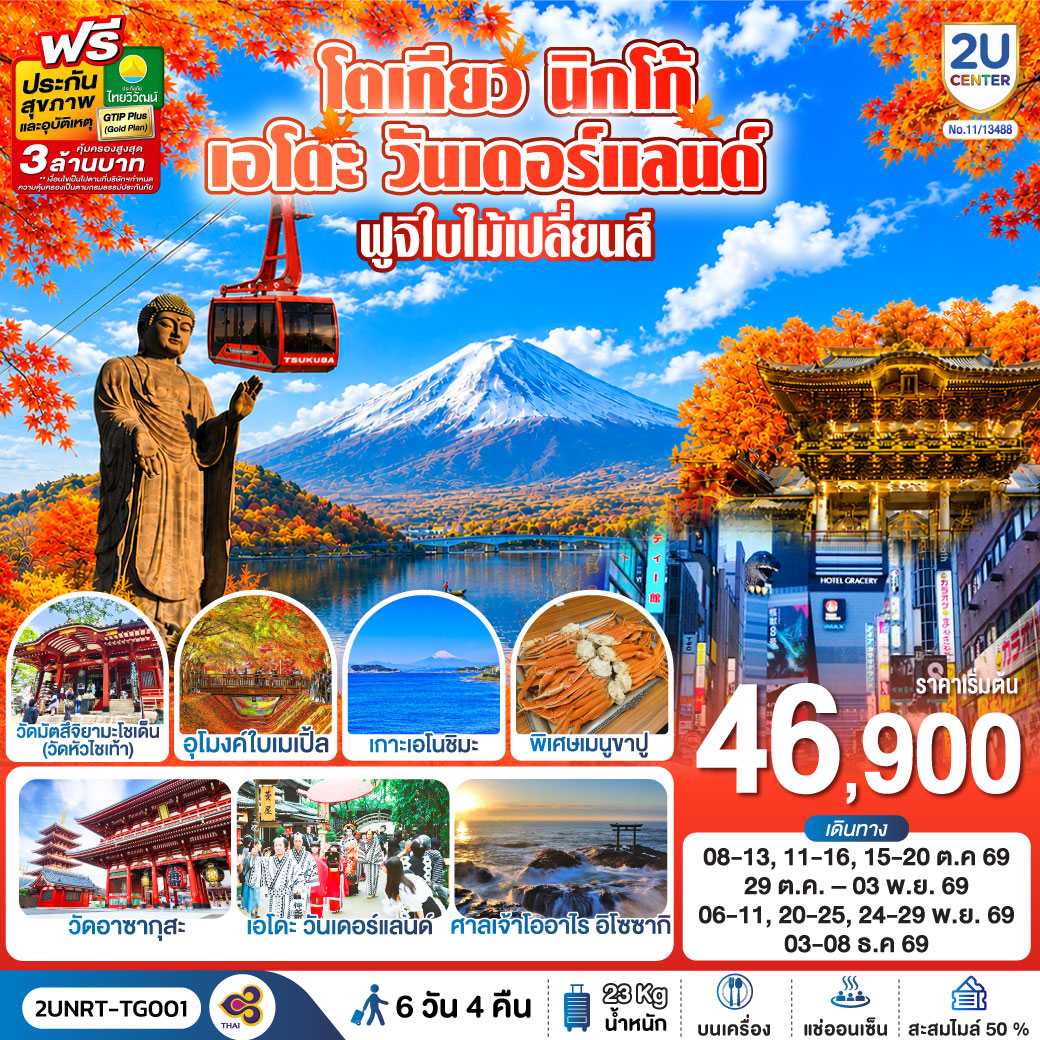 ทัวร์ญี่ปุ่น โตเกียว นิกโก้ ชมใบไม้เปลี่ยนสี เอโดะ วันเดอร์แลนด์ พระใหญ่อุชิคุไดบุตสึ อุโมงค์ใบเมเปิ้ล ฟูจิ ช้อปปิ้งย่านชินจูกุ พิเศษ..เมนูขาปู 6 วัน 3 คืน (พักออนเซ็น 1 คืน) บินโดยสายการบินไทย 