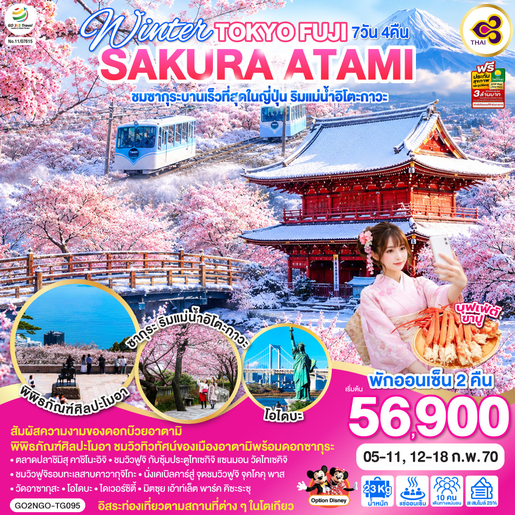 ทัวร์ญี่ปุ่น โตเกียว ชมซากุระบานเร็วที่สุดในญี่ปุ่น ริมแม่น้ำอิโตะกาวะ นั่งเคเบิลคาร์สู่จุดชมวิวฟูจิ พิพิธภัณฑ์ศิลปะโมอา ทะเลสาบคาวากุจิโกะ วัดไทเซคิจิ โอไดบะ 7 วัน 4 คืน พักออนเซ็น 2 คืน (เที่ยวอิสระ 1 วัน) พิเศษ..บุฟเฟต์ขาปู โดยสายการบินไทย [TG]