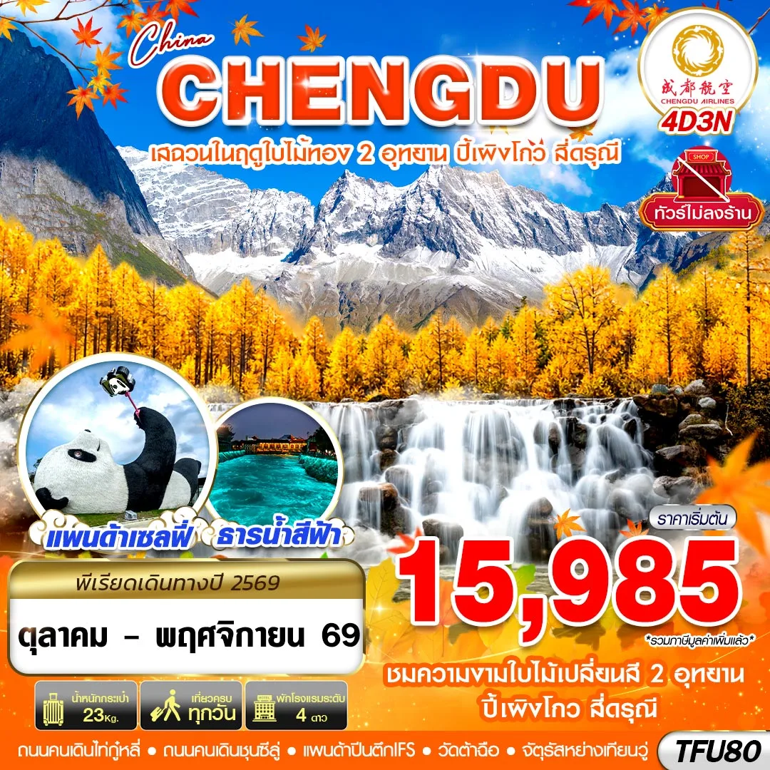 ทัวร์เฉิงตู ชมใบไม้เปลี่ยนสี อุทยานปี้เผิงโกว ภูเขาสี่ดรุณี จัตุรัสหย่างเทียนวู่ สะพานหนานเฉียว แพนด้ายักษ์ปีนตึก IFS  4 วัน 3 คืน (ทัวร์ไม่ลงร้านช้อป)