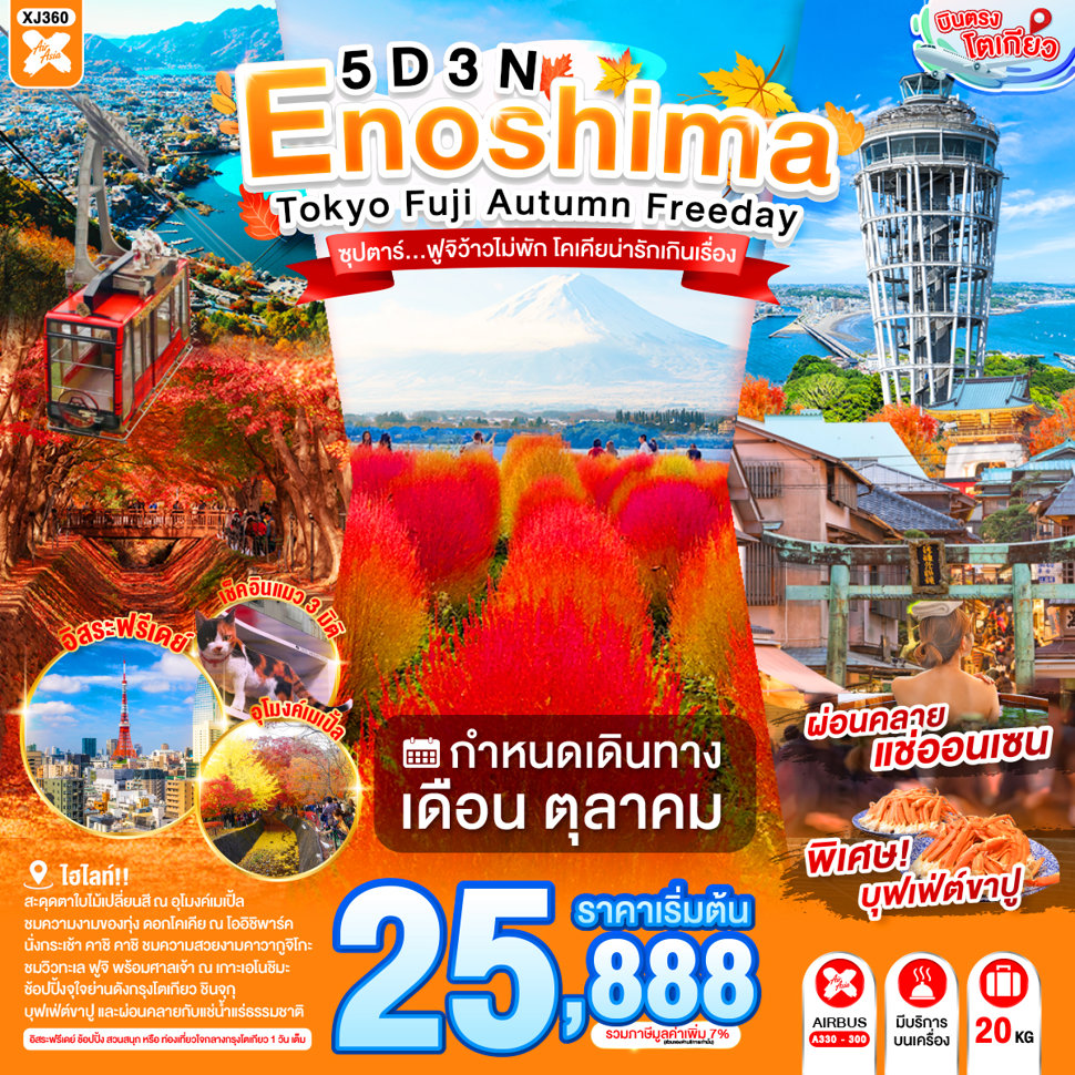 ทัวร์ญี่ปุ่น โตเกียว ใบไม้เปลี่ยนสี อุโมงค์เมเปิ้ล ทะเลสาบคาวากจูิโกะ โออิชิพาร์ค นั่งกระเช้า คาชิ คาชิ เกาะเอโนชิมะ ชมแมวยักษ์ 3 มิติ ช้อปปิ้งย่านชินจุกุ 5 วัน 3 คืน อิสระท่องเที่ยว 1 วัน (พักออนเซ็น 1 คืน)