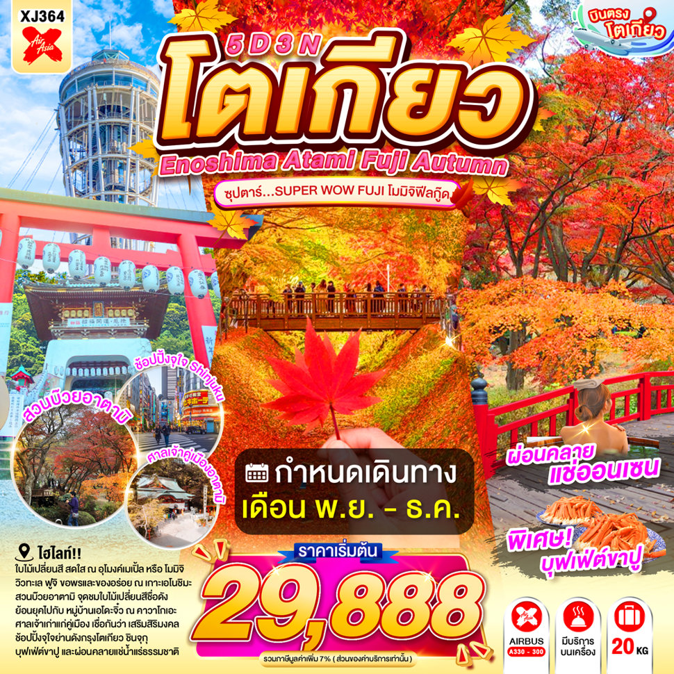 ทัวร์ญี่ปุ่น บินตรงโตเกียว ใบไม้เปลี่ยนสี เกาะเอโนชิมะ หมู่บ้านโอชิโนะฮัคไค สวนบ๊วยอาตามิ ศาลเจ้าฮิคาวะ ชมแมวยักษ์ 3 มิติ ช้อปปิ้งย่านชินจูกุ 5 วัน 3 คืน (พักออนเซ็น 1 คืน)